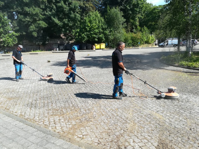 Nettoyage de parkings / Débrousaillage, enlever les mauvaises herbes sur une grande surface