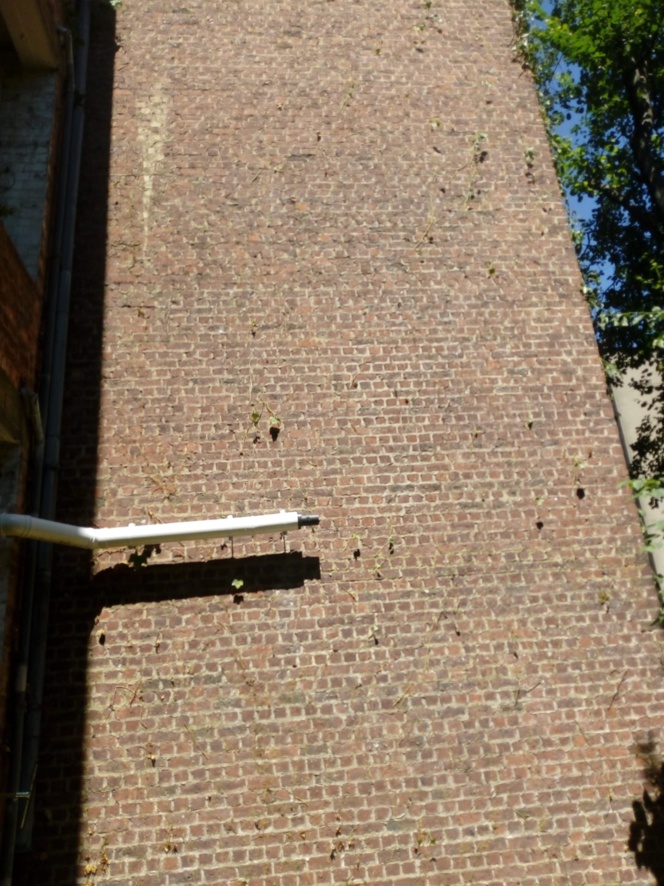 Refaire, réparer ou réarranger votre pelouse - Pose de gazon en rouleaux Refaire, réparer ou réarranger votre pelouse - Pose de gazon en rouleaux