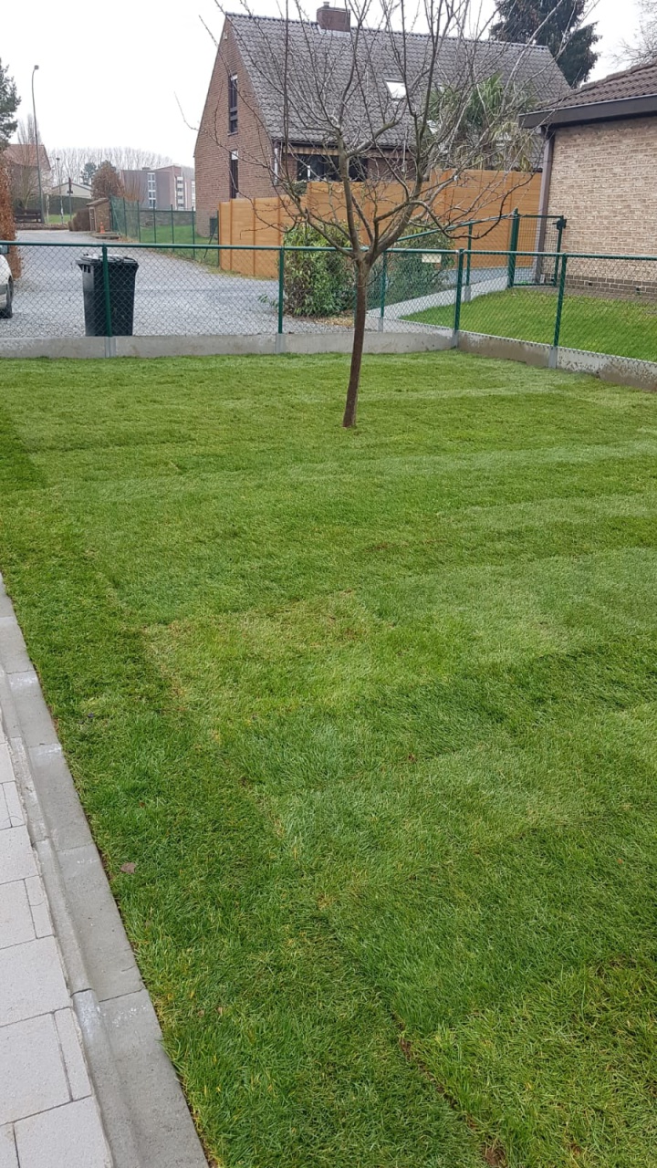 Pose de gazon Wavre Pose de gazon Wavre