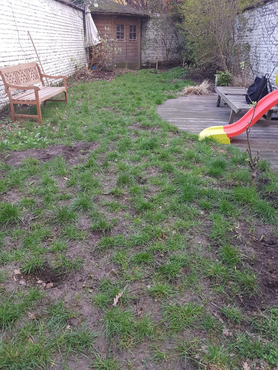 Jardinier etterbeek Avant Jardinier etterbeek Avant